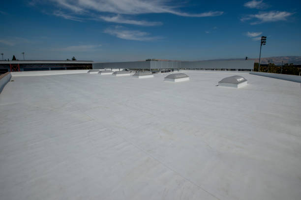 Best Roof Coating and Sealing  in Divernon, IL